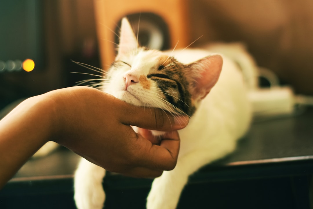 Pet moment